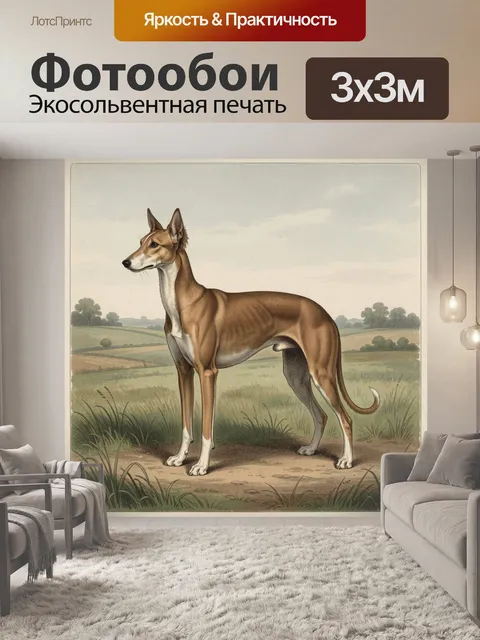 Фотообои Собака на пастбище