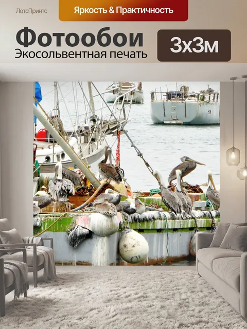 Фотообои Пеликаны на лодке
