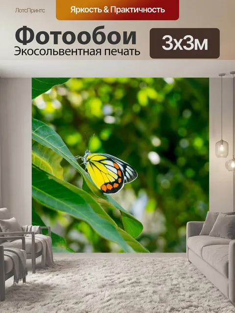 Фотообои Бабочка