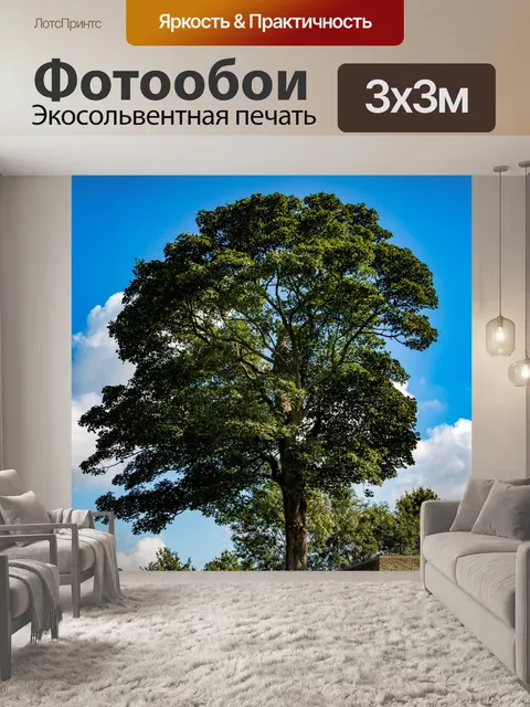 Фотообои Только дерево