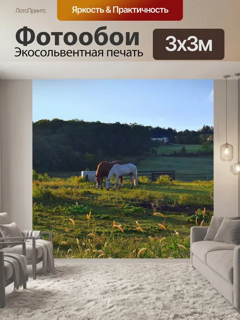 Фотообои Лошади