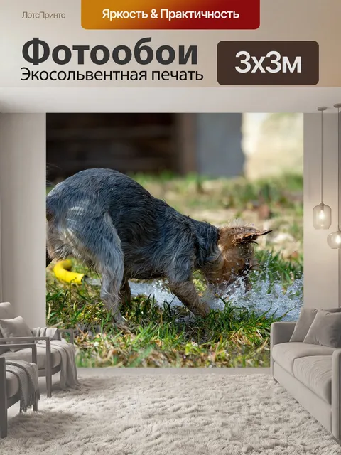 Фотообои Собака