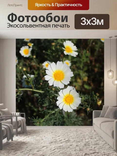 Фотообои Цветы