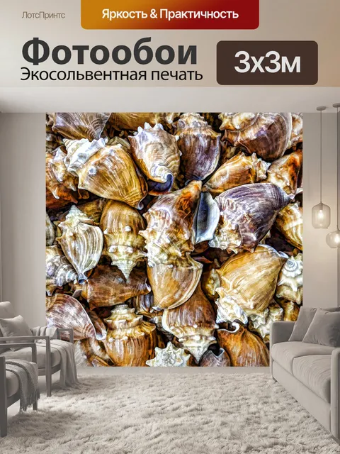 Фотообои Фон морской раковины