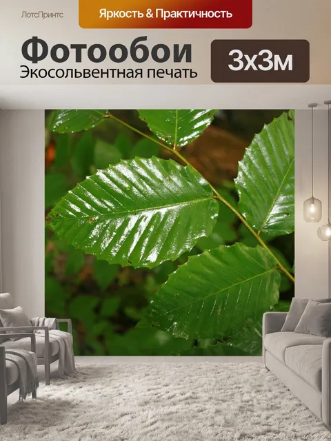 Фотообои Листья