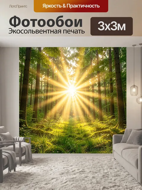 Фотообои Солнечный лес с лучами света