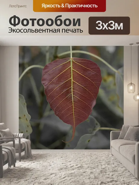 Фотообои Листья