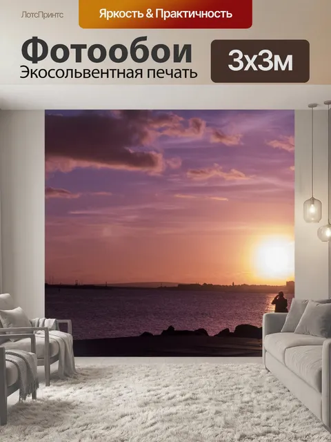Фотообои Силуэт