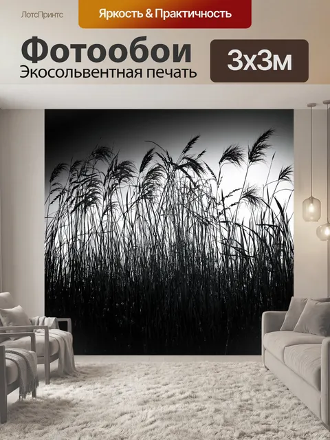Фотообои черно-белый, показывающие высокие травы и цветы в кромешной тьме, где техника теней и контуров активно…