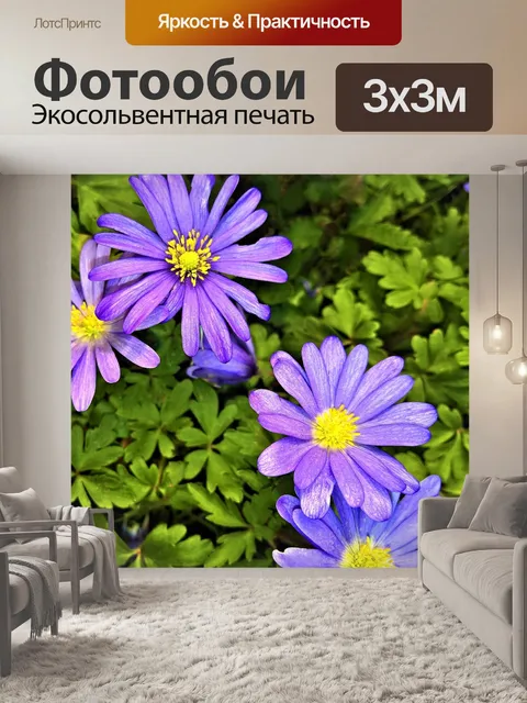 Фотообои Цветок