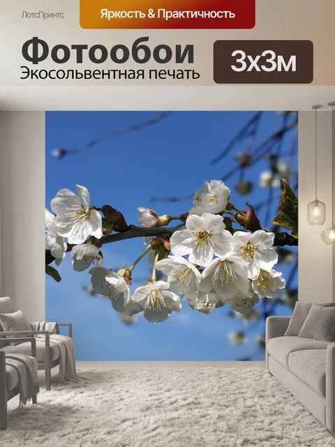 Фотообои Цветет