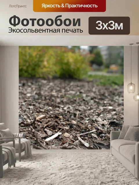 Фотообои Лаять