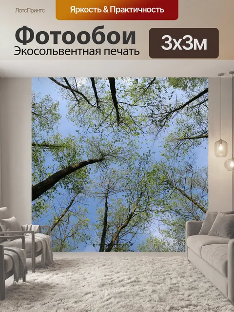 Фотообои Лес