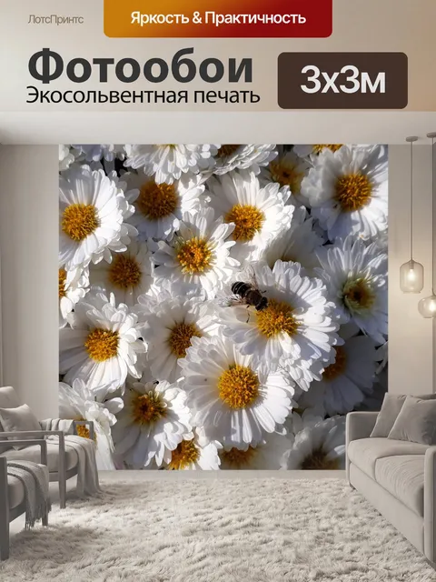 Фотообои «астерс»