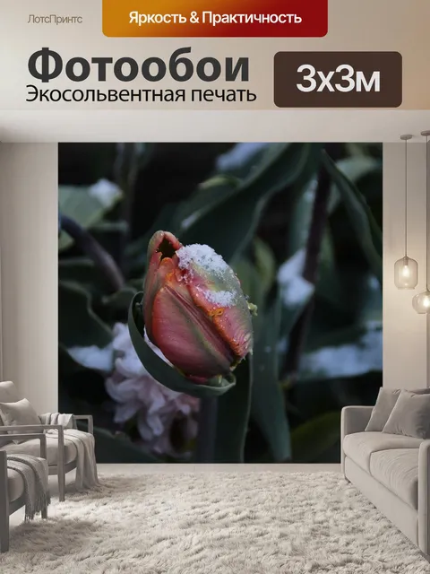 Фотообои Цветок