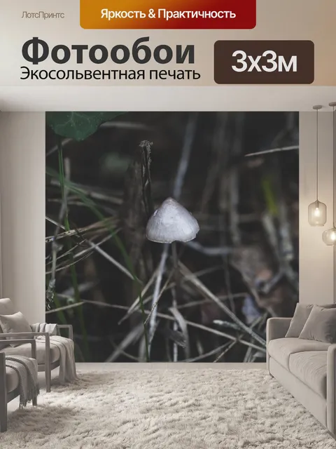 Фотообои Гриб