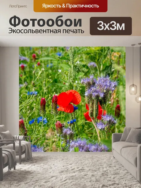 Фотообои Маки
