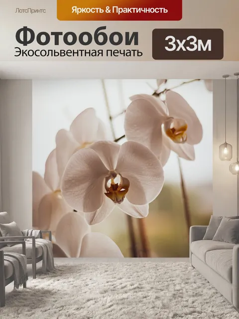Фотообои Орхидеи