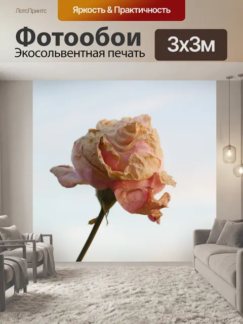 Фотообои Роза