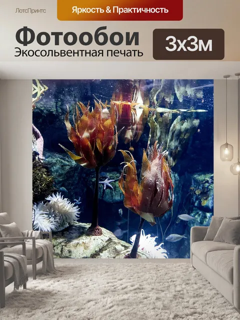 Фотообои глубоководный коралл