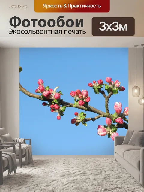 Фотообои Цвести