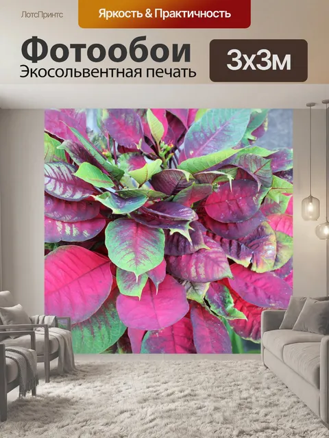Фотообои Красный и зеленый