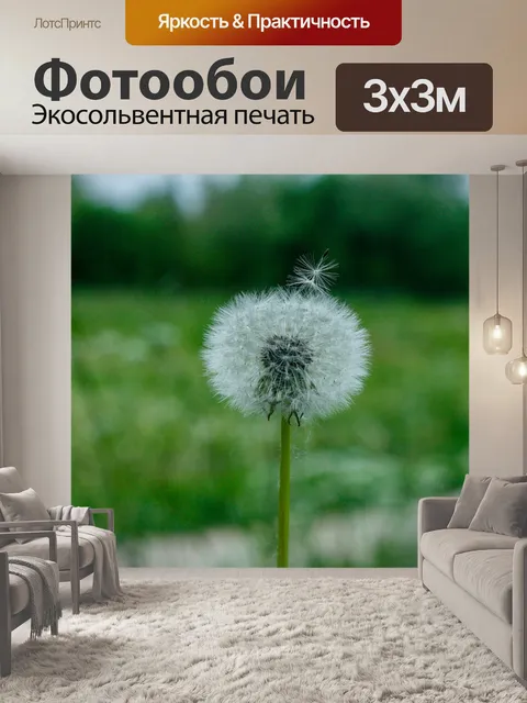 Фотообои Одуванчик