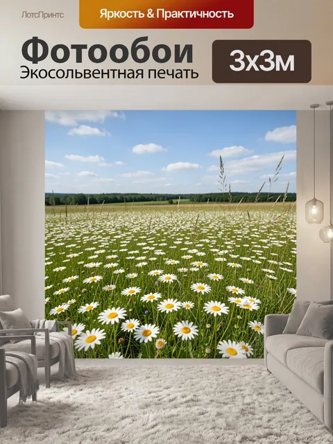 Фотообои Ромашковое поле под синим небом
