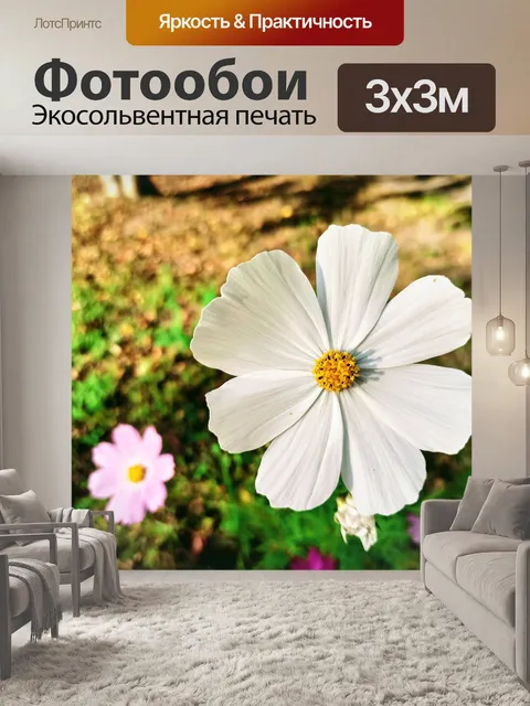 Фотообои Космос