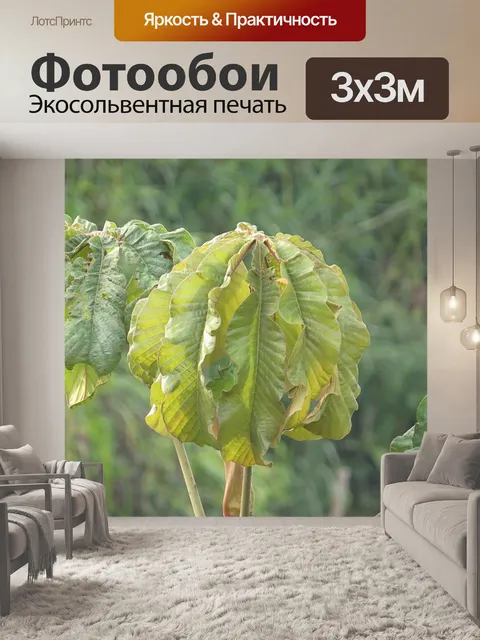 Фотообои Пейзаж