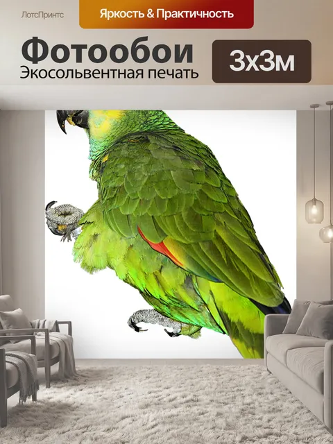 Фотообои Попугай