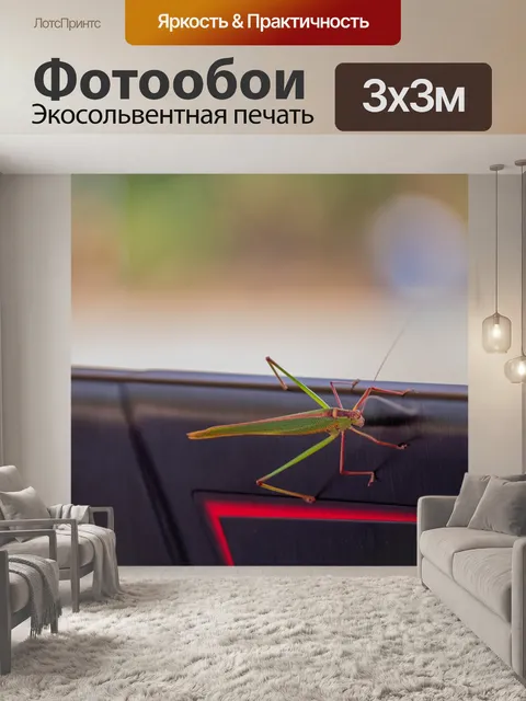 Фотообои Животное