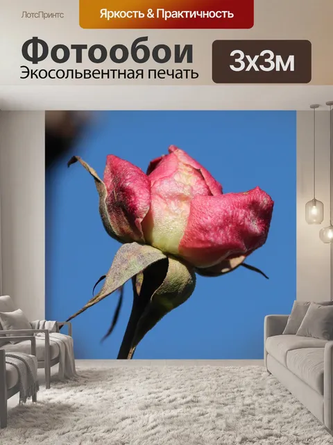 Фотообои Цветок