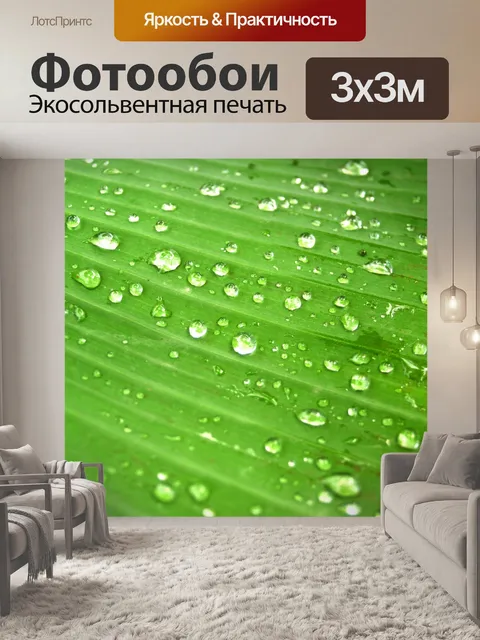 Фотообои Капля воды на листе