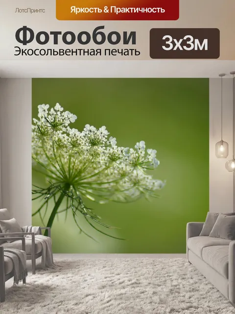 Фотообои Цветок