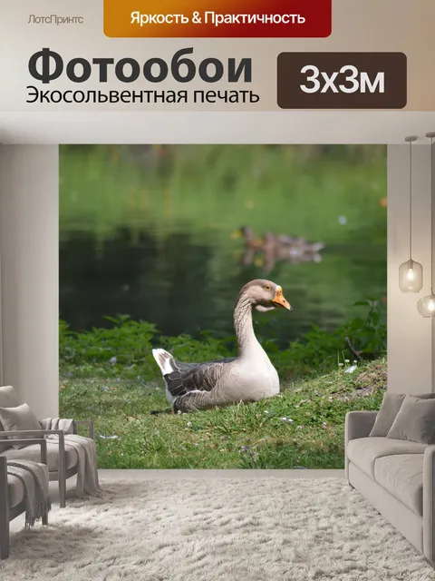 Фотообои Природа