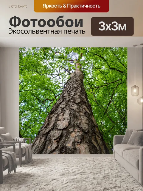 Фотообои Дерево