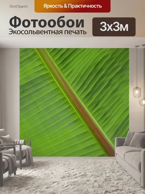 Фотообои Лист