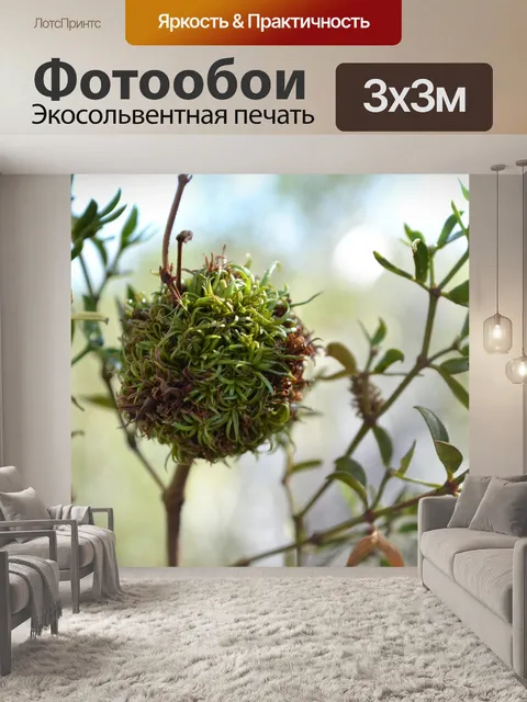 Фотообои Цветок