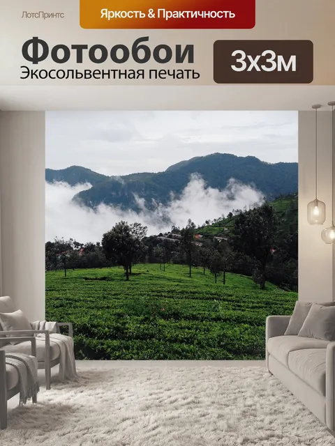 Фотообои Лес