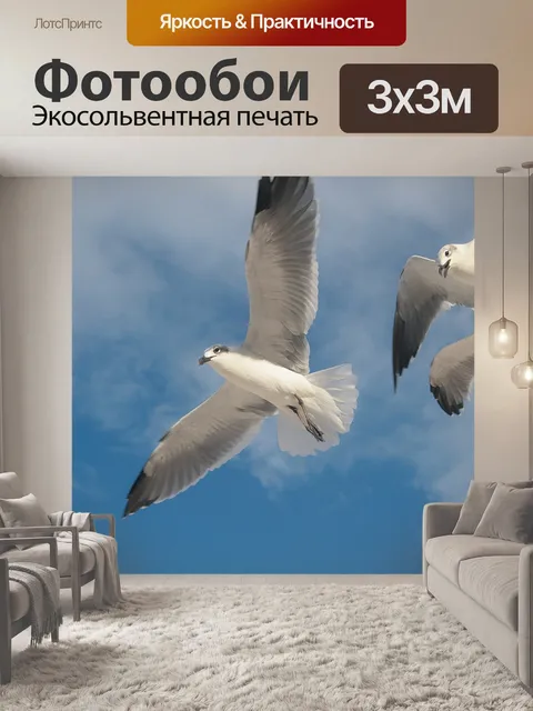 Фотообои Птица