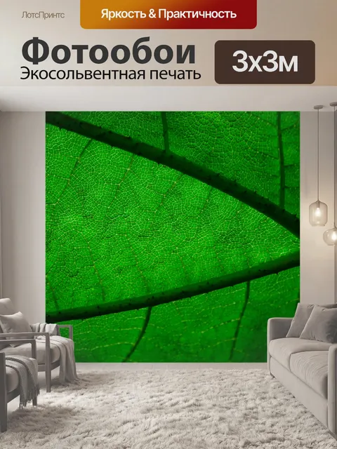 Фотообои Зеленые листья Текстура