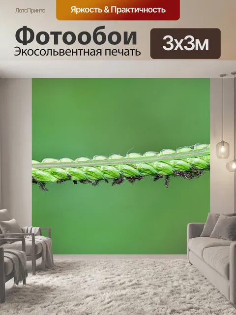 Фотообои Природа