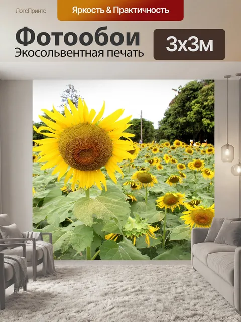 Фотообои поле подсолнухов, подсолнухи