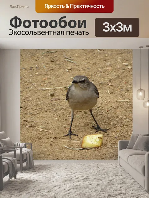 Фотообои Издевательский