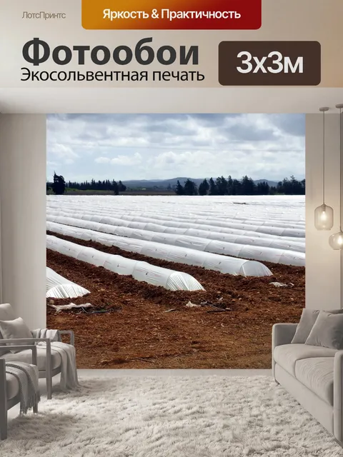 Фотообои Природа