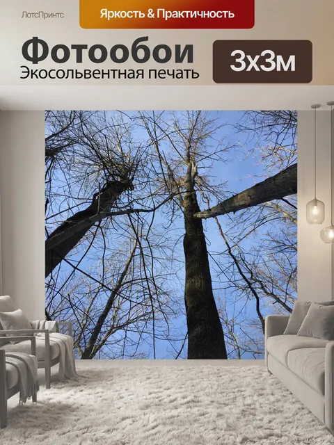 Фотообои Деревья