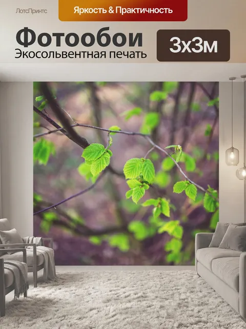 Фотообои Молодой