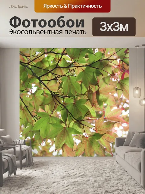 Фотообои Листья