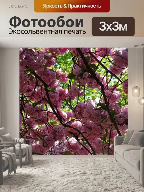 Фотообои Цветение вишни